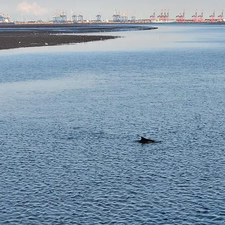 Träumeria Apartment *