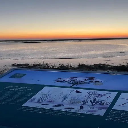 Träumeria * Butjadingen