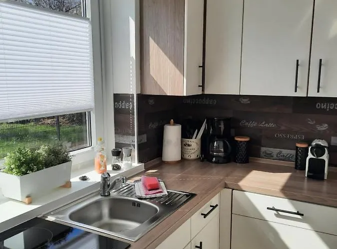 Traeumeria Butjadingen