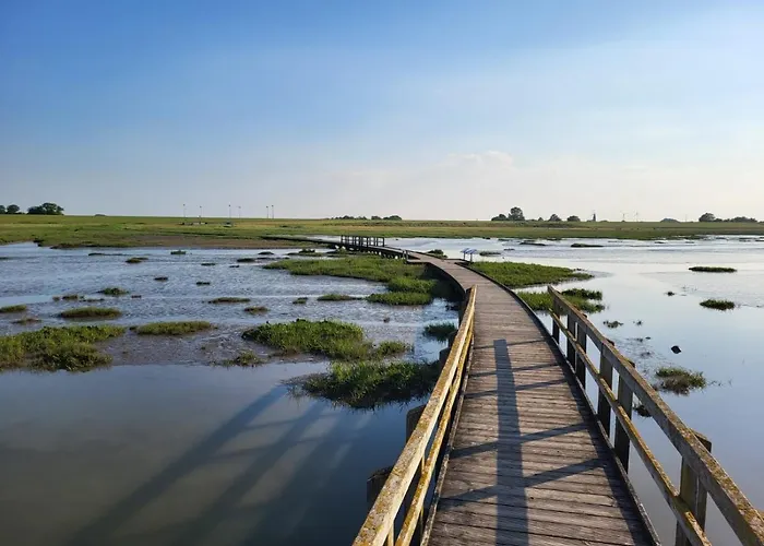 Traeumeria Lejlighed *