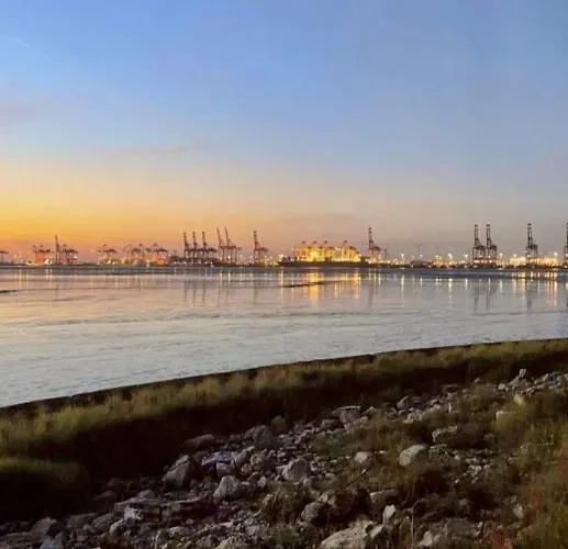 Traeumeria Butjadingen