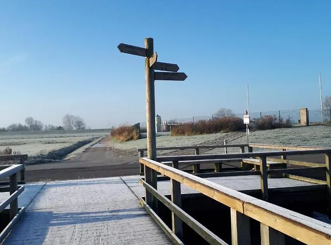 Lejlighed Traeumeria