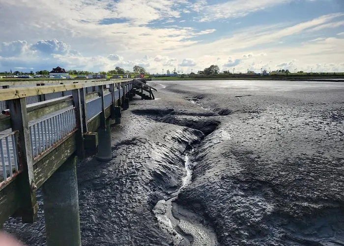 Traeumeria Butjadingen