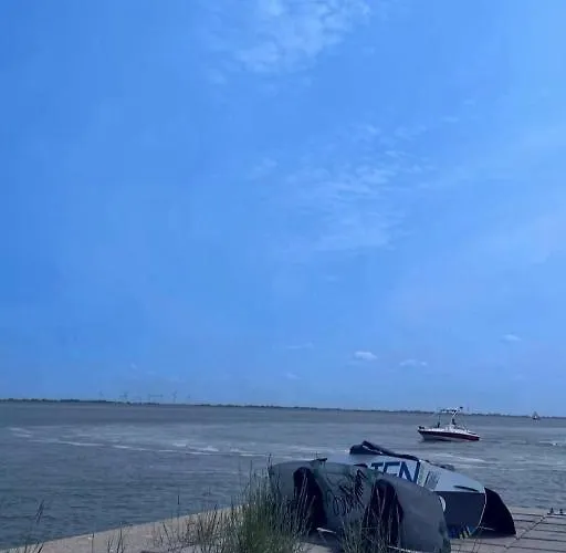 Traeumeria Butjadingen