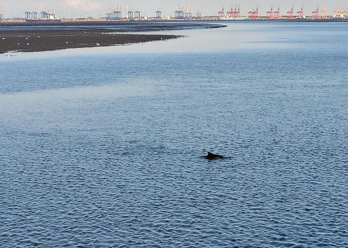 Traeumeria Lejlighed *