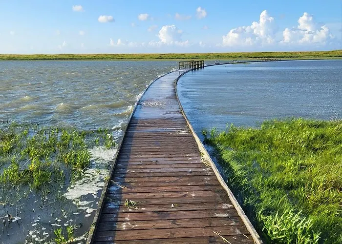 Lejlighed Traeumeria