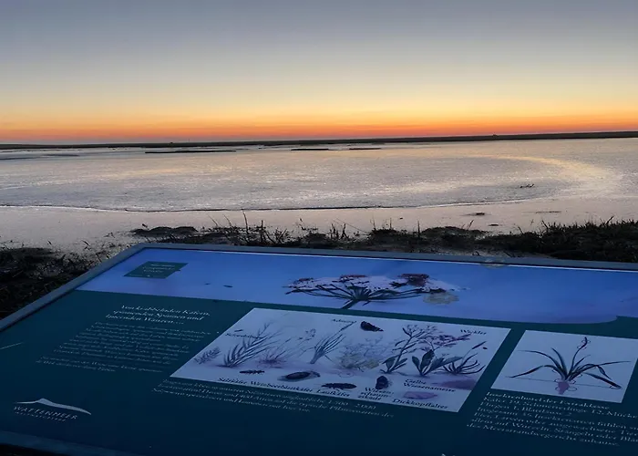 Traeumeria * Butjadingen